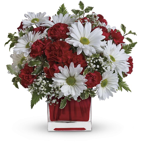 Red And White Delight