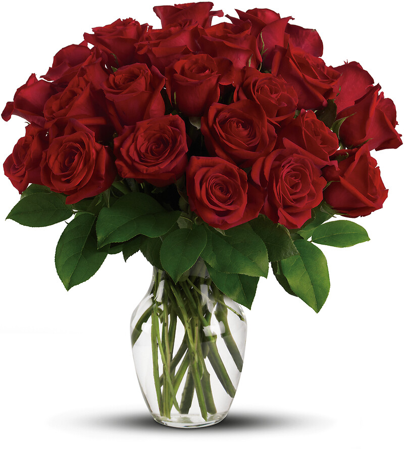 Enduring Passion - 12 Red Roses arranged by a florist in Endicott, NY ...
