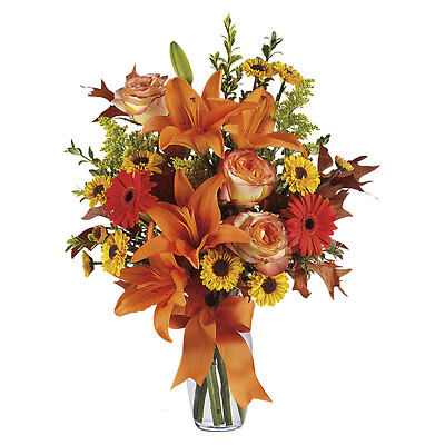 Burst of Autumn