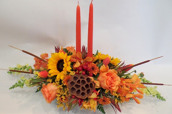 thanksgiving Splendor