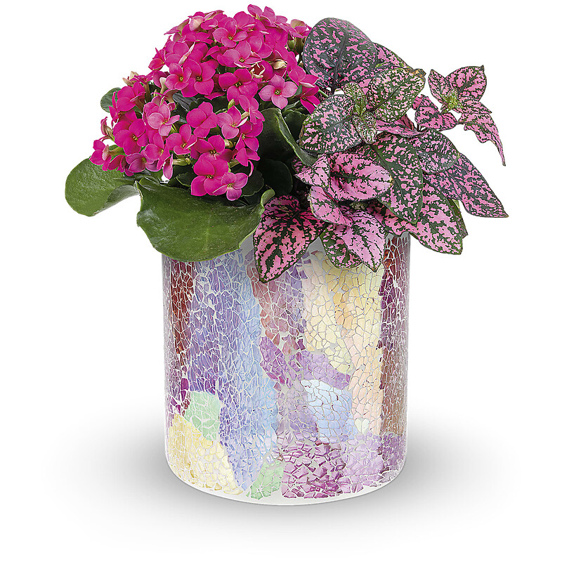 Blushing Duo arranged by a florist in Endicott, NY Endicott Florist